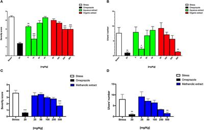 Protective Effects of Borago officinalis (Borago) on Cold Restraint Stress-Induced Gastric Ulcers in Rats: A Pilot Study